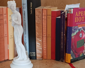 Statue de courtisane sur une bibliothèque