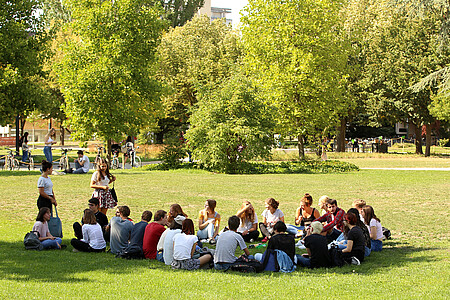 Sous le soleil, les pelouses du campus n'ont pas tardé à être prise d'assaut par les étudiants.